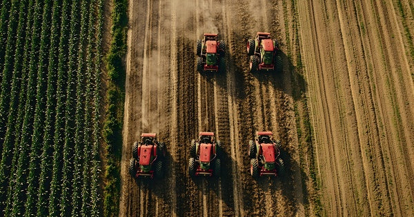 An Alarming Decline in the Nutritional Quality of Foods: The Biggest Challenge for Future Generations’ Health.