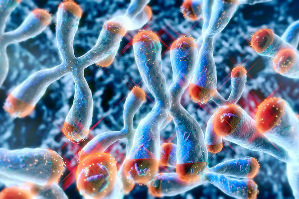 Vitamin D Supplements May Slow Biological Aging.